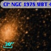 Cl* NGC 1978    WBT    4446