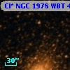 Cl* NGC 1978    WBT    4448
