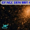 Cl* NGC 1978    WBT    4456