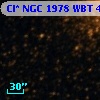 Cl* NGC 1978    WBT    4463