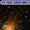 Cl* NGC 1978    WBT    4464