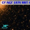Cl* NGC 1978    WBT    4478