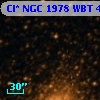 Cl* NGC 1978    WBT    4486