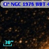 Cl* NGC 1978    WBT    4489