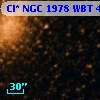 Cl* NGC 1978    WBT    4498