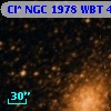 Cl* NGC 1978    WBT    4502