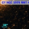 Cl* NGC 1978    WBT    4513