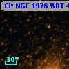 Cl* NGC 1978    WBT    4516