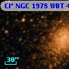 Cl* NGC 1978    WBT    4523