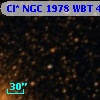 Cl* NGC 1978    WBT    4551