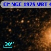 Cl* NGC 1978    WBT    4554