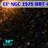 Cl* NGC 1978    WBT    4555
