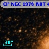 Cl* NGC 1978    WBT    4562