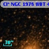 Cl* NGC 1978    WBT    4565