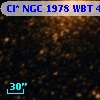 Cl* NGC 1978    WBT    4569