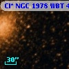 Cl* NGC 1978    WBT    4589