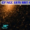 Cl* NGC 1978    WBT    4592