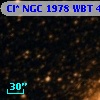 Cl* NGC 1978    WBT    4596