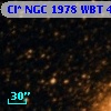 Cl* NGC 1978    WBT    4601