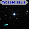 TYC 3166-751-1