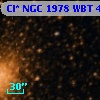 Cl* NGC 1978    WBT    4612