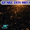 Cl* NGC 1978    WBT    4615
