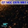 Cl* NGC 1978    WBT    4616