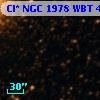 Cl* NGC 1978    WBT    4620