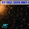 Cl* NGC 1978    WBT    4632