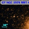 Cl* NGC 1978    WBT    4641