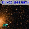 Cl* NGC 1978    WBT    4642