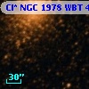 Cl* NGC 1978    WBT    4644