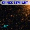 Cl* NGC 1978    WBT    4646