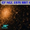 Cl* NGC 1978    WBT    4656