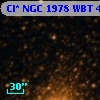 Cl* NGC 1978    WBT    4666