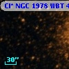 Cl* NGC 1978    WBT    4675