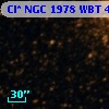 Cl* NGC 1978    WBT    4683