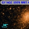 Cl* NGC 1978    WBT    4686