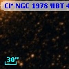 Cl* NGC 1978    WBT    4687