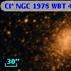 Cl* NGC 1978    WBT    4691