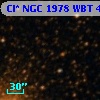 Cl* NGC 1978    WBT    4693