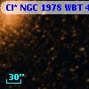 Cl* NGC 1978    WBT    4697