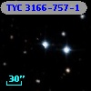 TYC 3166-757-1