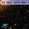 Cl* NGC 1978    WBT    4722