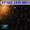 Cl* NGC 1978    WBT    4727