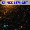 Cl* NGC 1978    WBT    4736