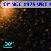 Cl* NGC 1978    WBT    4741