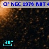 Cl* NGC 1978    WBT    4742
