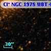 Cl* NGC 1978    WBT    4745