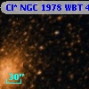 Cl* NGC 1978    WBT    4748
